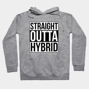 Straight Outta Hybrid - Hybrid School for Teachers and Kids Hoodie